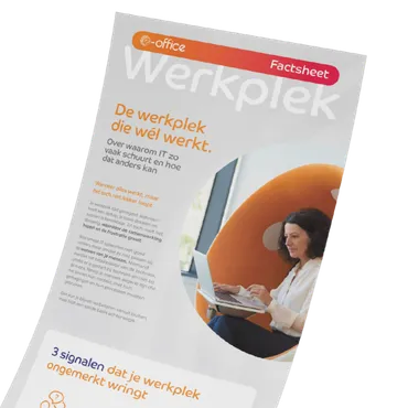 factsheet_werkplekbeheer visuele weergaven van de factsheet